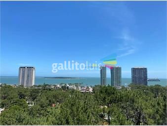 https://www.gallito.com.uy/apartamento-en-venta-punta-del-este-inmuebles-25654369