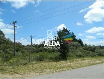 https://www.gallito.com.uy/terreno-en-punta-colorada-ref-te200496-inmuebles-20297127