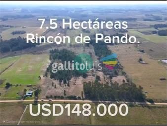 https://www.gallito.com.uy/hermosa-chacra-de-7-5-hectareas-en-venta-en-excelente-ubic-inmuebles-26779027