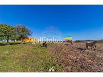 https://www.gallito.com.uy/campo-en-venta-39-hectareas-migues-canelones-inmuebles-25776515