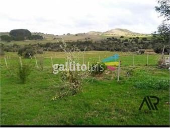 https://www.gallito.com.uy/campo-en-venta-lavalleja-inmuebles-26852268