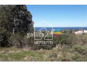 https://www.gallito.com.uy/venta-terrenos-cerca-del-mar-en-punta-fria-inmuebles-24614208