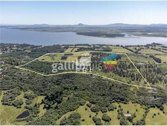 https://www.gallito.com.uy/chacra-en-venta-en-laguna-del-sauce-punta-ballena-ref-inmuebles-26852361