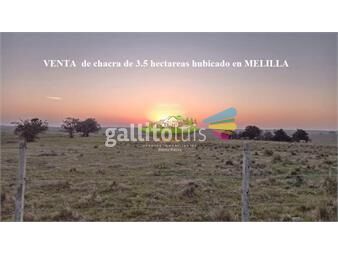 https://www.gallito.com.uy/venta-de-chacra-de-34-hectareas-en-melilla-inmuebles-26852329