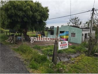 https://www.gallito.com.uy/casa-a-reciclar-en-el-centro-de-los-cerrillos-inmuebles-26177856