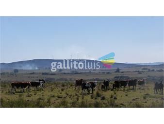 https://www.gallito.com.uy/campo-cerca-ruta-39-en-las-cañas-inmuebles-22910091