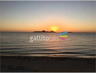 https://www.gallito.com.uy/campo-en-colonia-24-hascon-costa-playa-la-arenisca-inmuebles-22481138