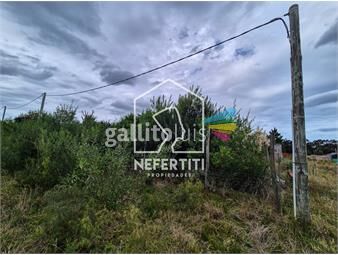 https://www.gallito.com.uy/venta-terreno-en-la-bota-el-chorro-inmuebles-26882467