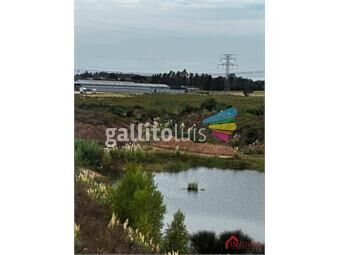 https://www.gallito.com.uy/venta-de-terreno-de-5-hectareas-en-las-piedras-canelones-inmuebles-26470029