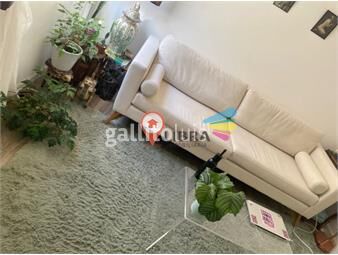 https://www.gallito.com.uy/hermoso-apartamento-de-1-dorm-con-azotea-y-parrillero-inmuebles-26912060