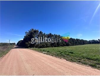 https://www.gallito.com.uy/venta-de-campo-de-282-hectareas-camino-garces-inmuebles-25985775