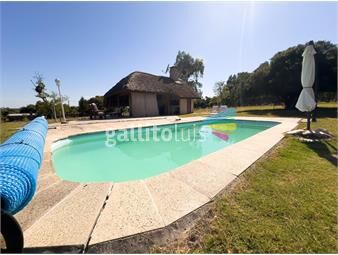 https://www.gallito.com.uy/exclusiva-chacra-de-9-has-con-piscina-en-paysandu-inmuebles-26918917