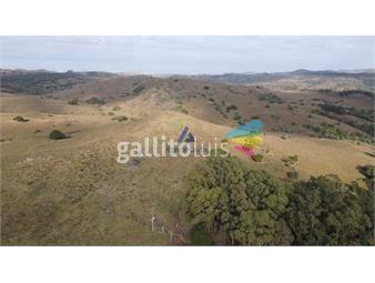 https://www.gallito.com.uy/venta-campo-fraccionamiento-92-hectareas-minas-lavalleja-inmuebles-26814476