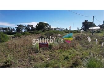 https://www.gallito.com.uy/terreno-en-venta-colonia-riachuelo-l6-inmuebles-25454927