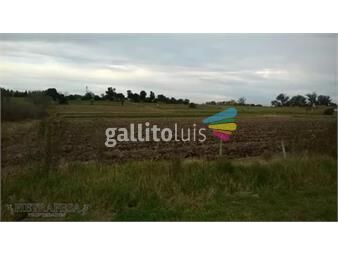 https://www.gallito.com.uy/campo-en-venta-paso-de-la-arena-inmuebles-24713251