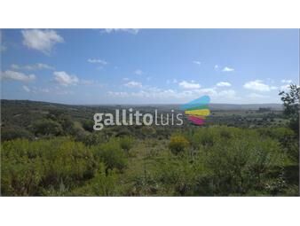 https://www.gallito.com.uy/chacra-de-5h-en-fraccionamiento-privado-en-aiuga-inmuebles-26985053