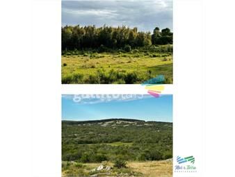 https://www.gallito.com.uy/885-has-campo-mixto-ganadero-forestal-inmuebles-26208716