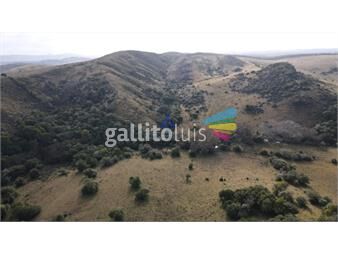 https://www.gallito.com.uy/venta-campo-92-hectareas-minas-lavalleja-inmuebles-26814476