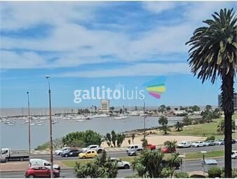 https://www.gallito.com.uy/venta-apto-puerto-buceo-3-dorm-estar-y-gge-inmuebles-27026004