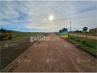 https://www.gallito.com.uy/venta-chacra-pueblo-eden-ruta-12-maldonado-inmuebles-27032021