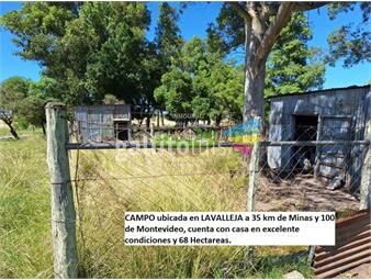 https://www.gallito.com.uy/venta-de-campo-en-minas-lavalleja-inmuebles-27032105