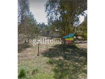 https://www.gallito.com.uy/terreno-500-mts-pque-del-plata-norte-nivelado1cuadra-su-inmuebles-26443280