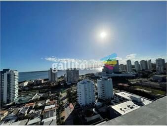 https://www.gallito.com.uy/espectacular-penthouse-en-venta-en-torre-francia-punta-del-inmuebles-23949917