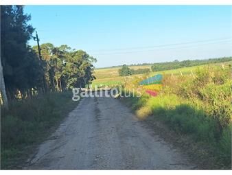 https://www.gallito.com.uy/venta-chacra-de-3-5ha-ruta-8-km42-empalme-olmos-inmuebles-27050778