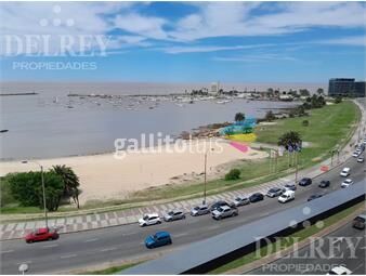 https://www.gallito.com.uy/venta-apartamento-puerto-buceo-delrey-propiedades-inmuebles-23783417