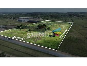 https://www.gallito.com.uy/venta-lote-terreno-4ha-camino-de-los-aromos-inmuebles-24986386