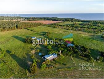 https://www.gallito.com.uy/chacra-turistica-en-venta-en-colonia-4-hectareas-4-casas-inmuebles-27156568