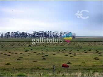 https://www.gallito.com.uy/campo-en-rocha-ref-9357-inmuebles-25971874