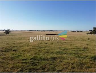 https://www.gallito.com.uy/campo-en-venta-en-rocha-ref-6429-inmuebles-18488608