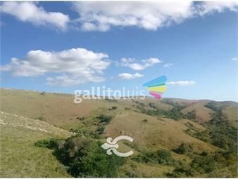 https://www.gallito.com.uy/campo-en-villa-serrana-lavalleja-ref-8421-inmuebles-22253298