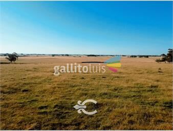 https://www.gallito.com.uy/campo-en-venta-en-canelones-ref-8148-inmuebles-20925163