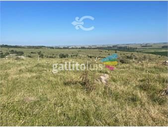 https://www.gallito.com.uy/campo-en-rivera-ref-7945-inmuebles-25668179