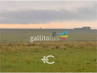 https://www.gallito.com.uy/campo-en-paysandu-ref-8283-inmuebles-25675163