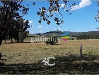 https://www.gallito.com.uy/campo-en-lavalleja-ref-8873-inmuebles-23895091