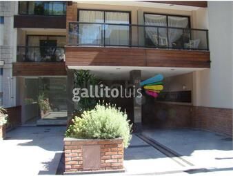 https://www.gallito.com.uy/apartamento-en-alquiler-inmuebles-26089595