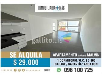 https://www.gallito.com.uy/alquiler-apartamento-1-dormitorio-malvin-imasuy-lc-inmuebles-26684927