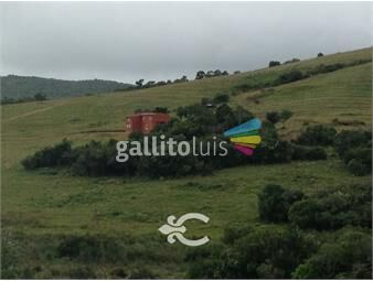 https://www.gallito.com.uy/campo-en-venta-en-maldonado-ref-1413-inmuebles-24890412