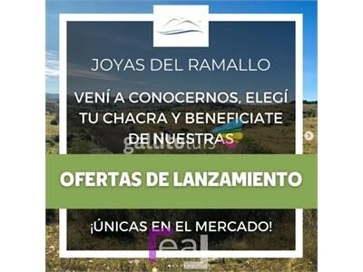 aviso relacionado