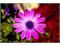 logo_2449858_10-03-2023_16-05-57.jpg