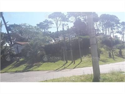 aviso relacionado