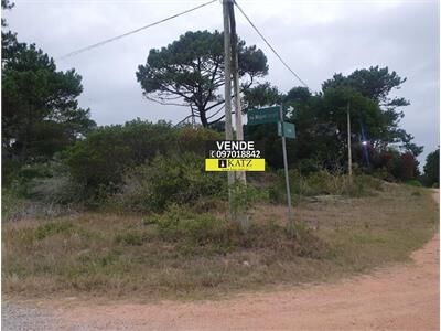 aviso relacionado