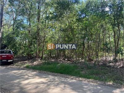 aviso relacionado