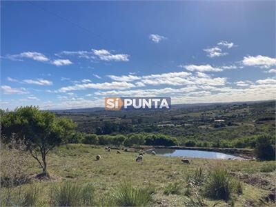 aviso relacionado