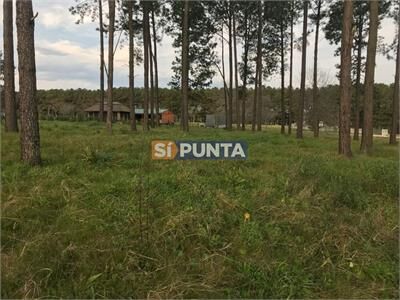 aviso relacionado