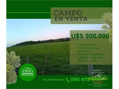 aviso relacionado