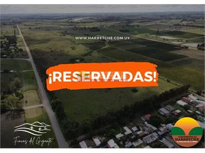 aviso relacionado